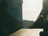 CD21.2